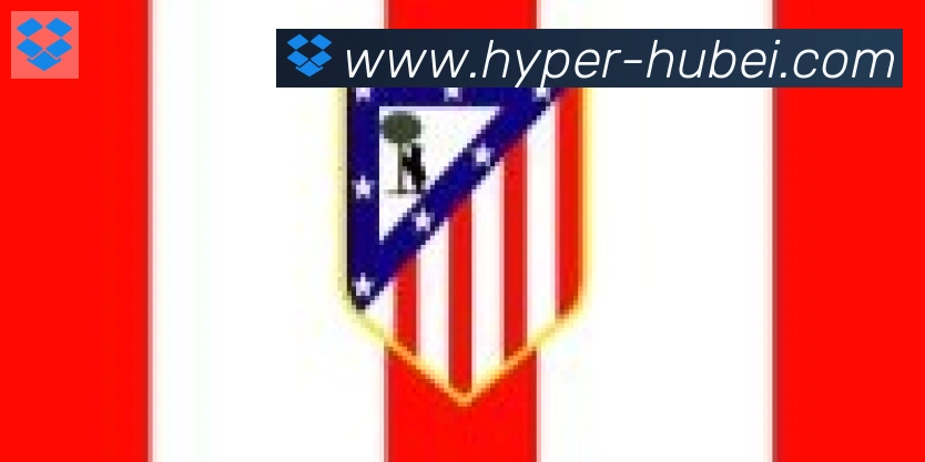 湖北体彩合作伙伴